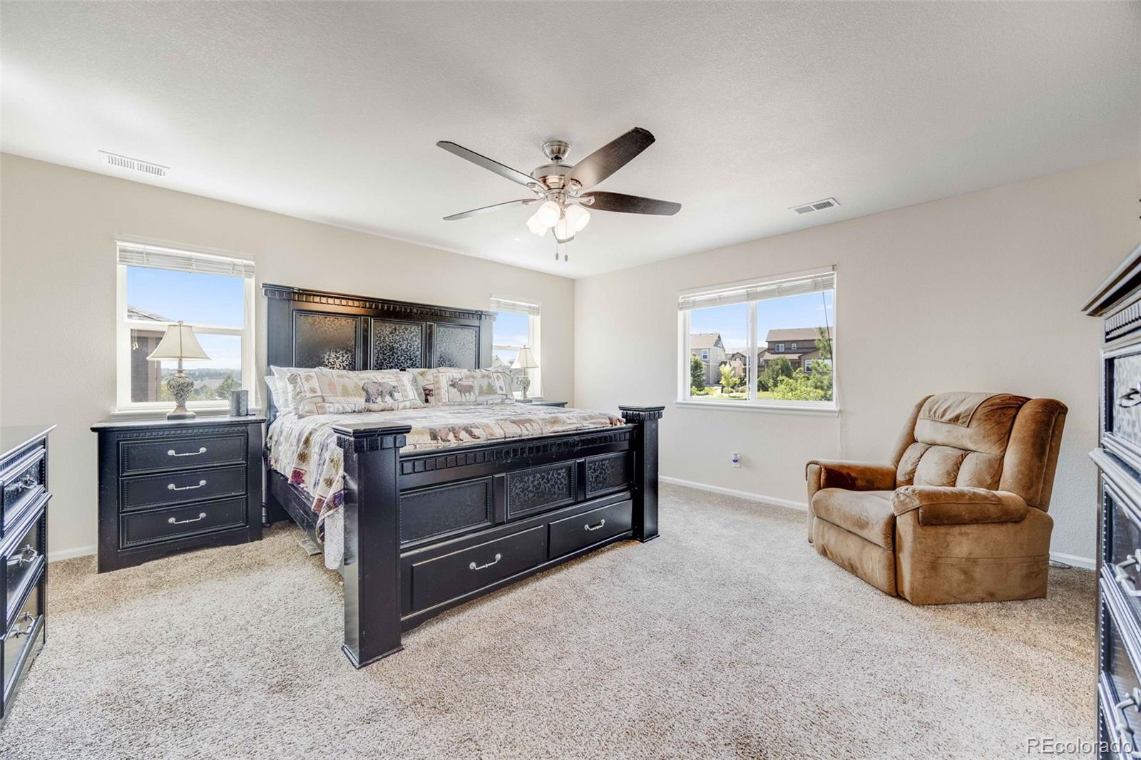 MLS Image #19 for 7514  blue water drive,castle rock, Colorado