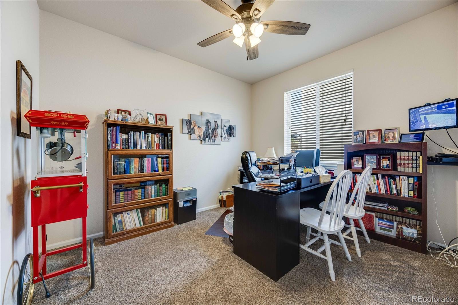 MLS Image #7 for 7514  blue water drive,castle rock, Colorado
