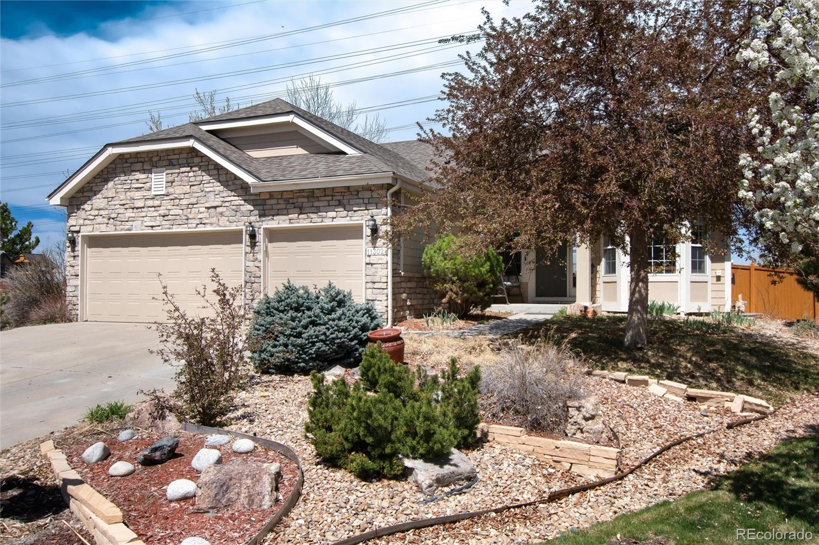 CMA Image for 11302  Mesa Verde Place,Parker, Colorado