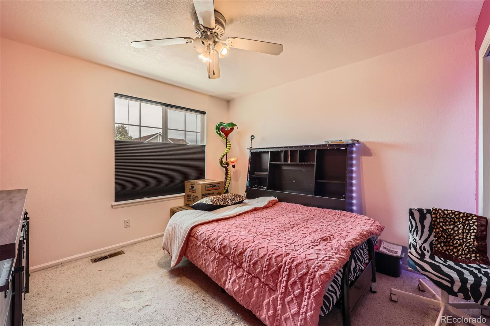 MLS Image #16 for 5163  apache creek road,castle rock, Colorado