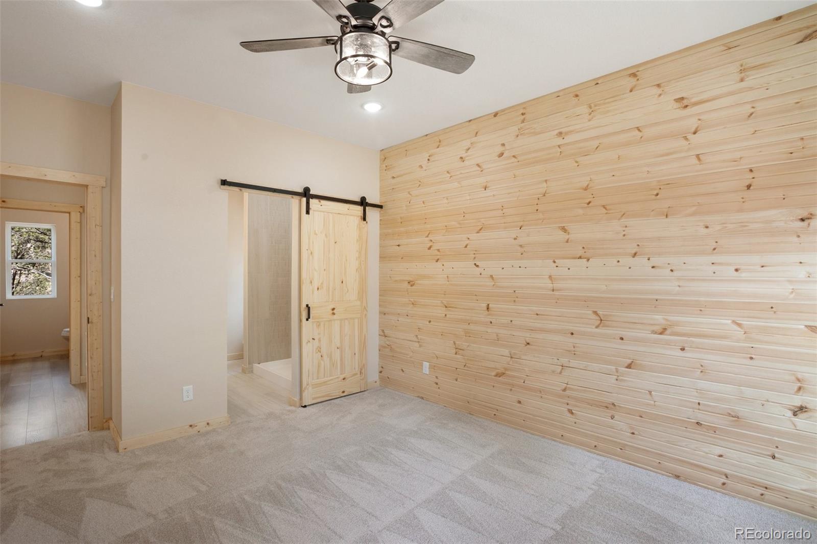MLS Image #21 for 198  timber ridge road,divide, Colorado