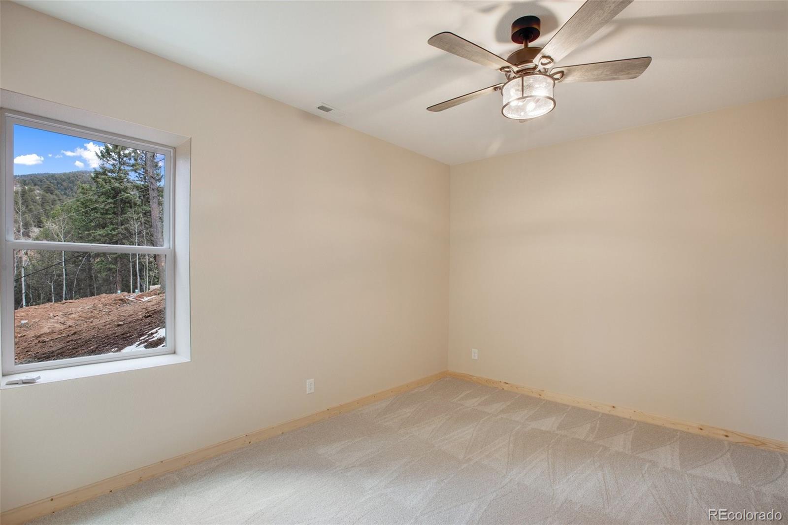 MLS Image #35 for 198  timber ridge road,divide, Colorado