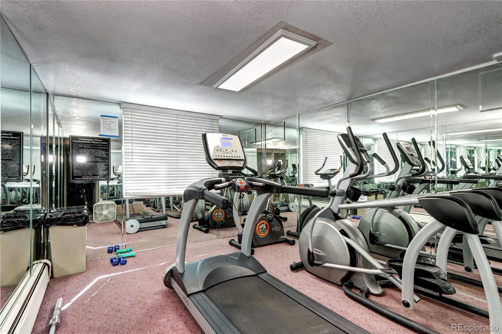 MLS Image #10 for 1125 n washington street,denver, Colorado