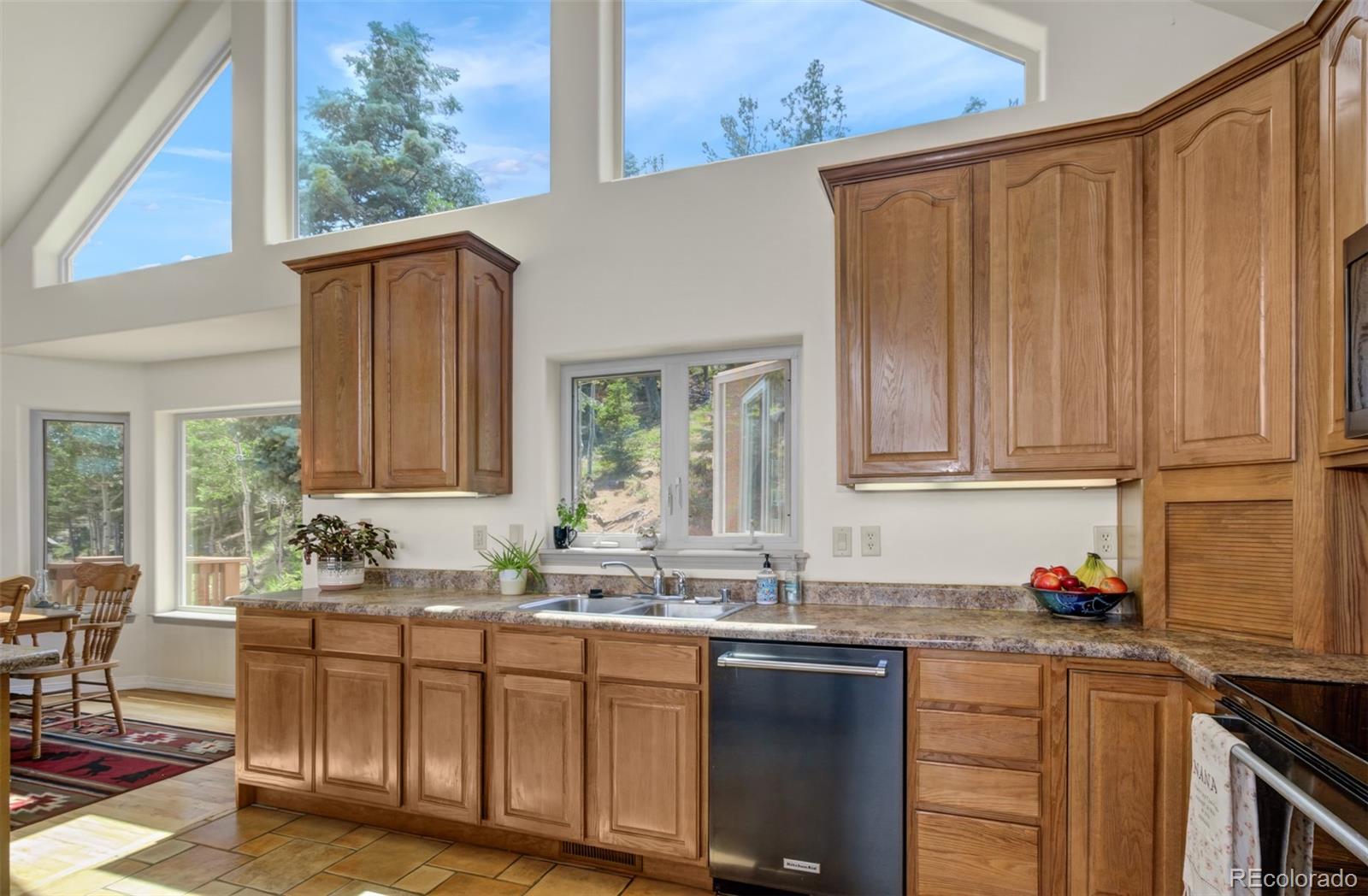 MLS Image #12 for 6070  big horn road,manitou springs, Colorado