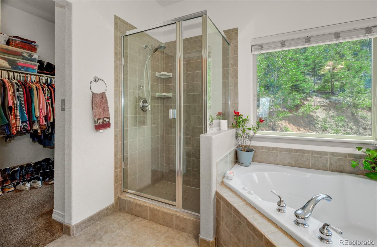 MLS Image #20 for 6070  big horn road,manitou springs, Colorado