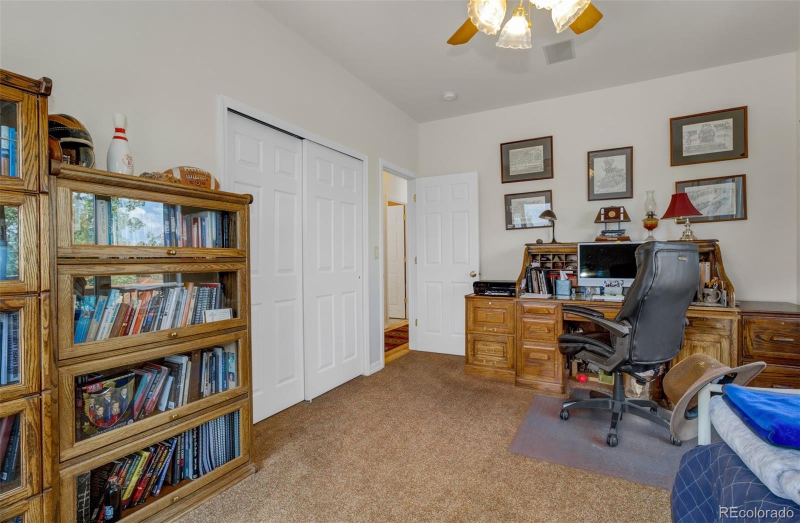MLS Image #26 for 6070  big horn road,manitou springs, Colorado