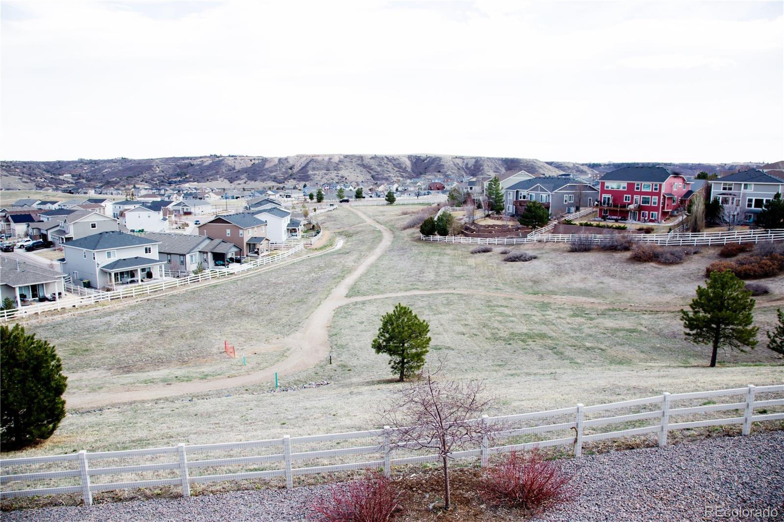 MLS Image #5 for 3910  mighty oaks street,castle rock, Colorado