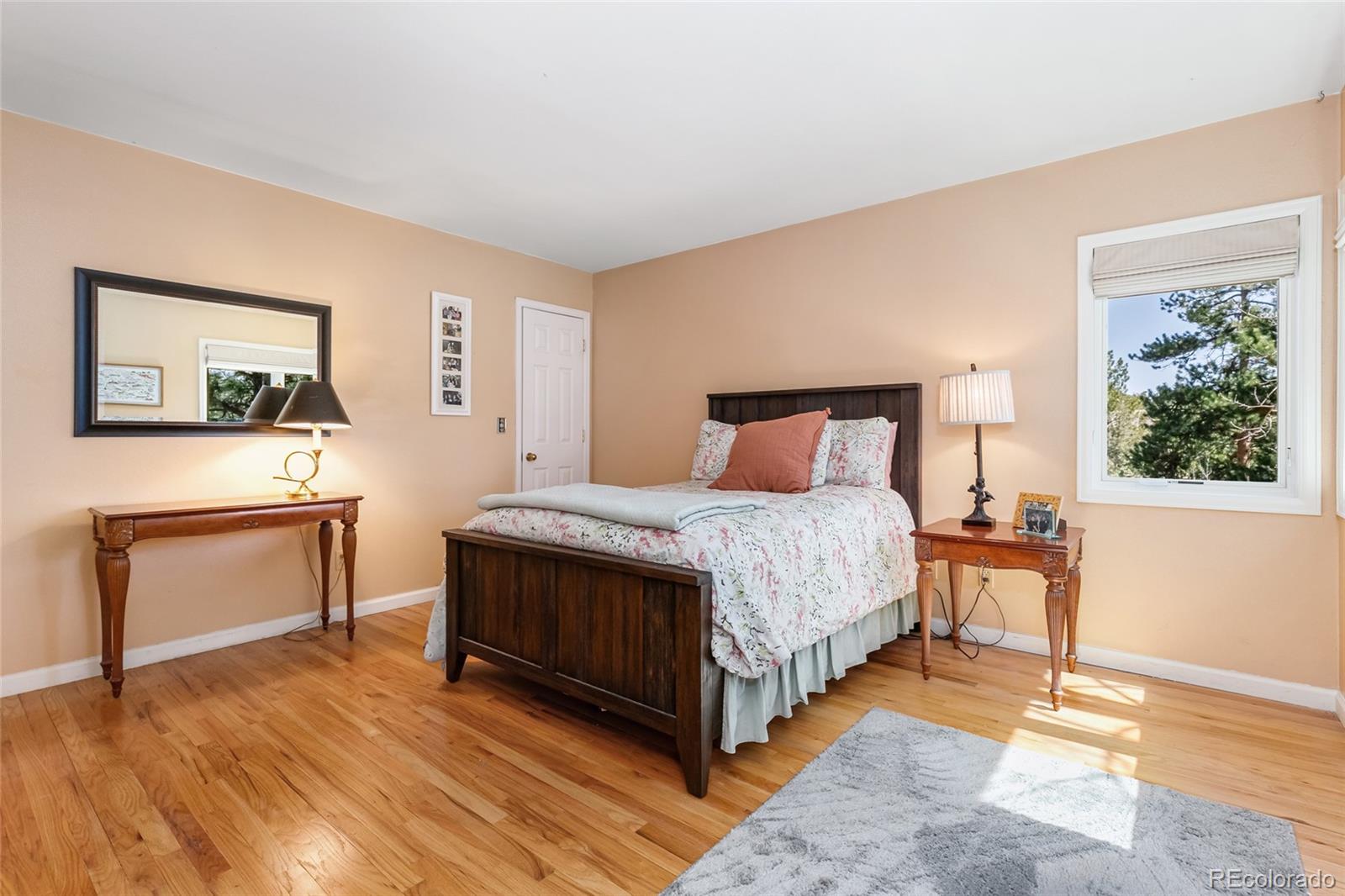 MLS Image #21 for 3692  overlook trail,evergreen, Colorado