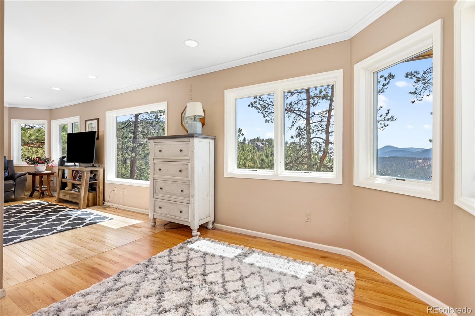 MLS Image #34 for 3692  overlook trail,evergreen, Colorado