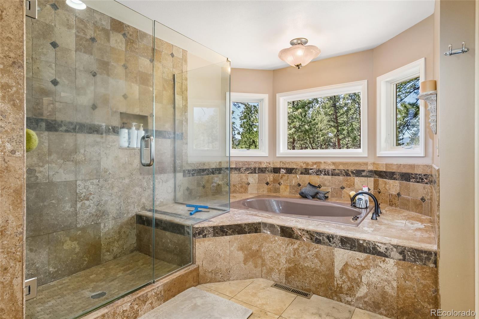 MLS Image #36 for 3692  overlook trail,evergreen, Colorado