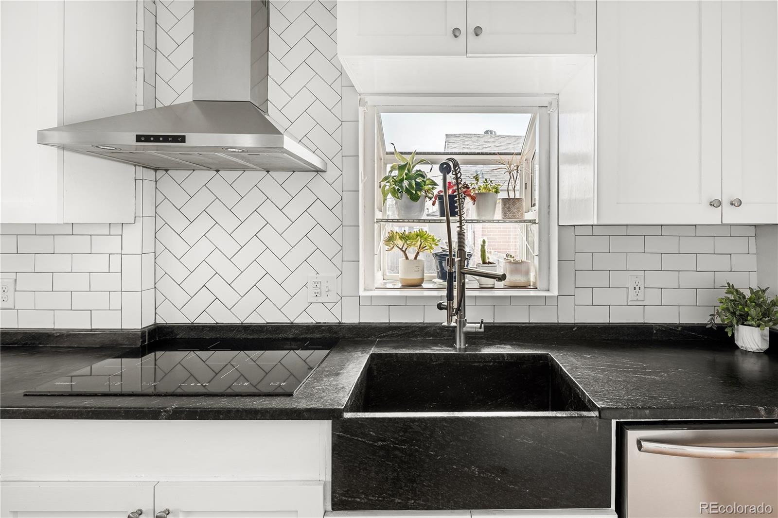 MLS Image #18 for 2676 s lincoln street,denver, Colorado