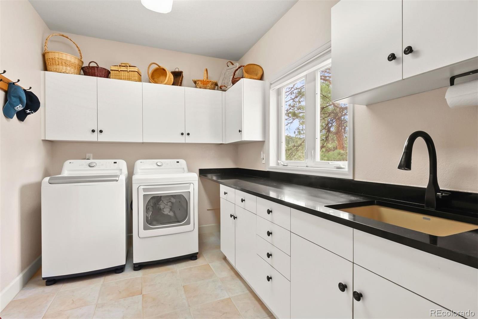 MLS Image #18 for 30205  telluride lane,evergreen, Colorado