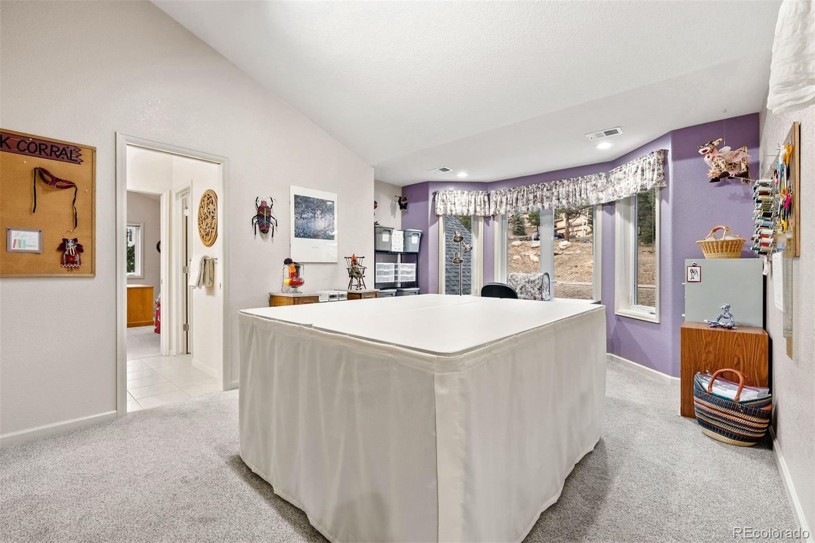 MLS Image #29 for 30205  telluride lane,evergreen, Colorado