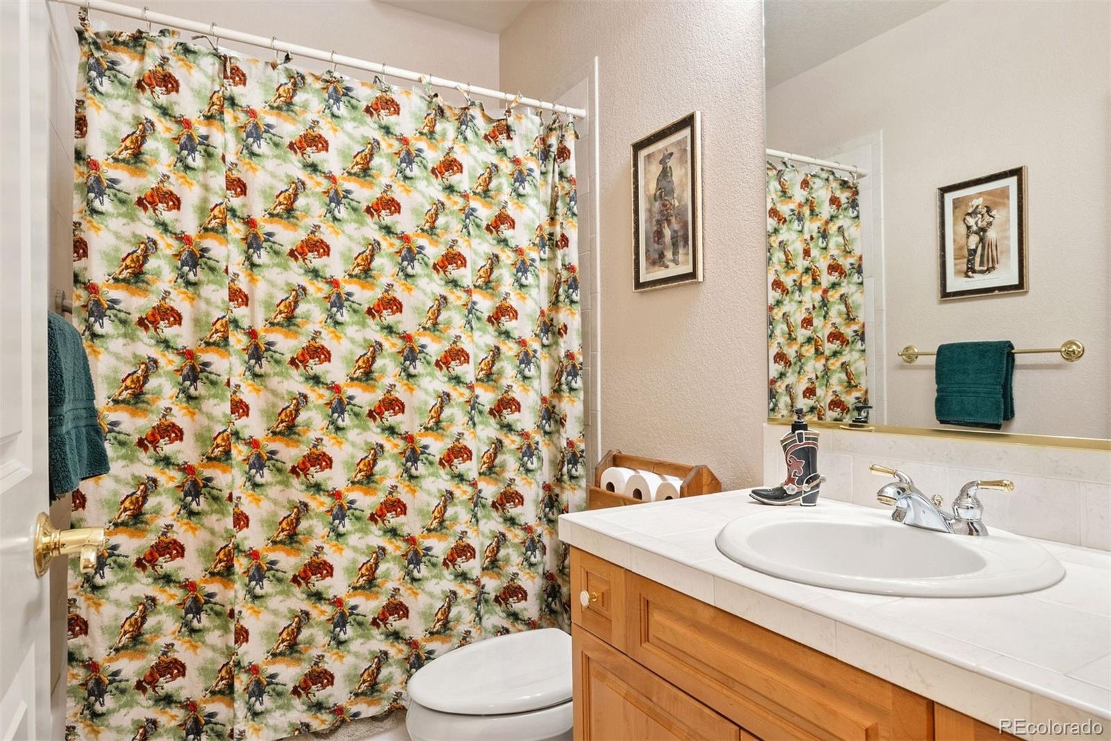 MLS Image #37 for 30205  telluride lane,evergreen, Colorado