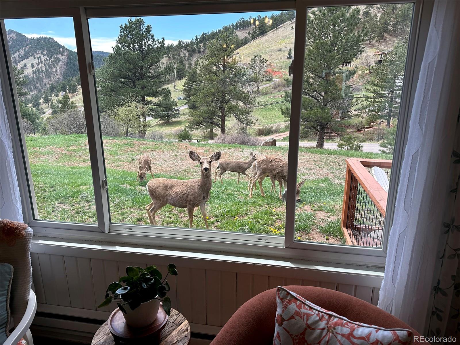 MLS Image #46 for 5384  olde stage road,boulder, Colorado
