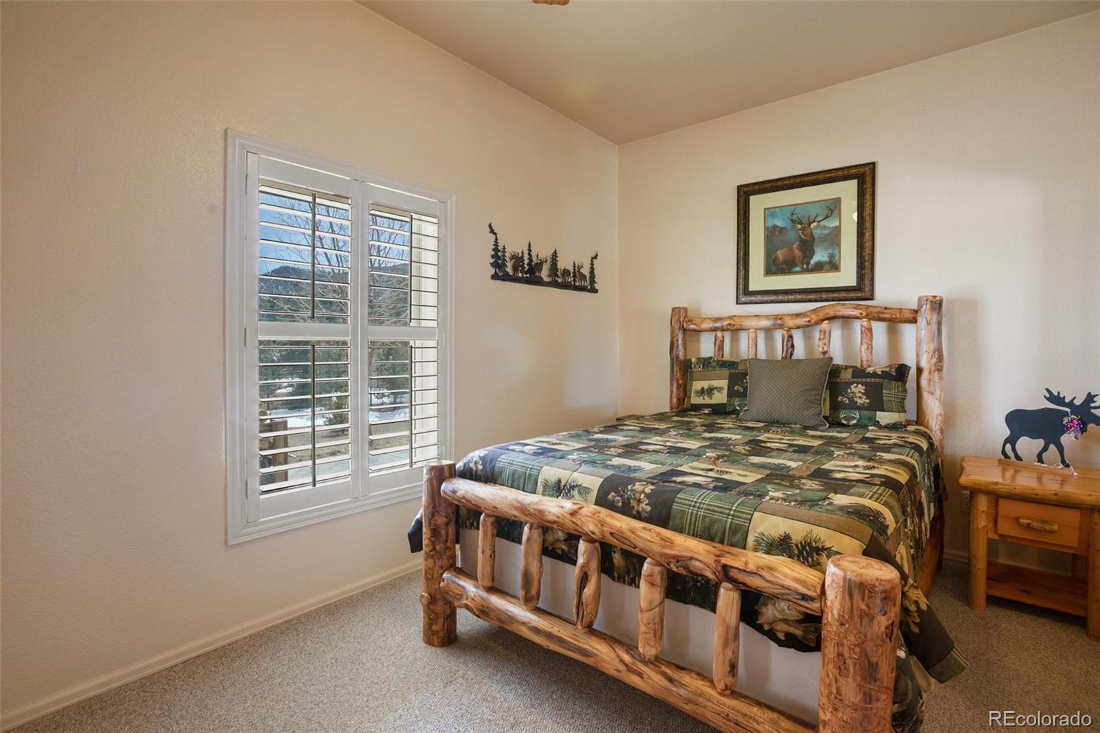 MLS Image #44 for 523  pulver road,lake george, Colorado