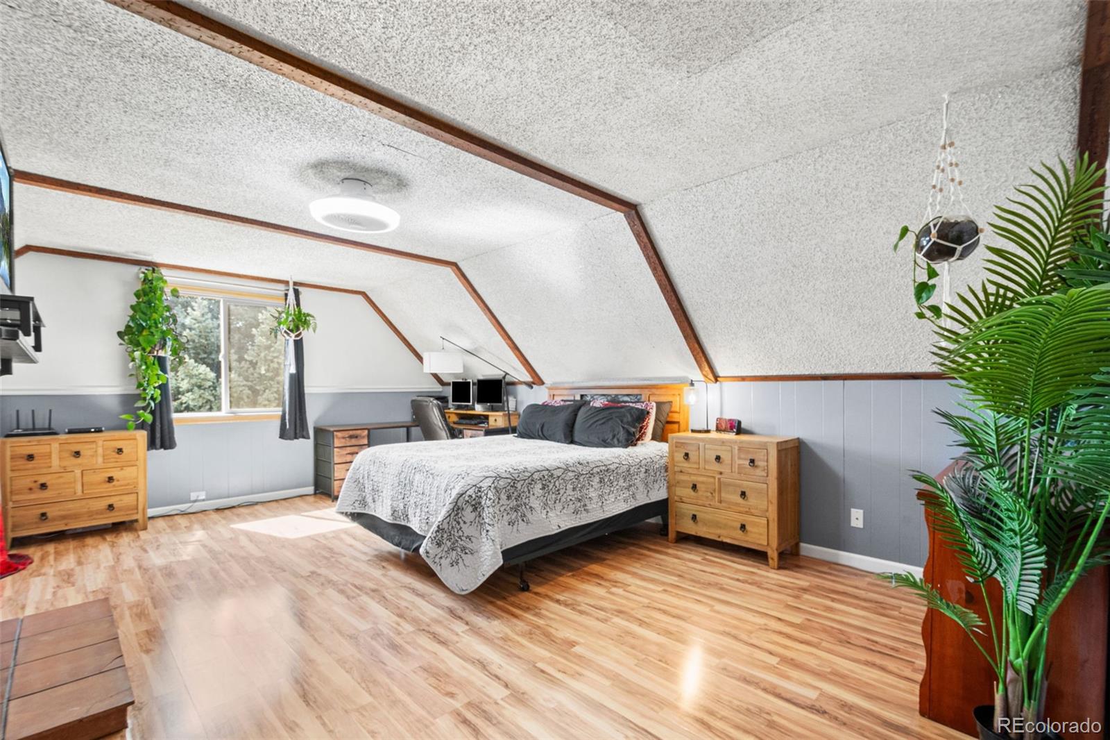 MLS Image #14 for 21  snowmass place,longmont, Colorado