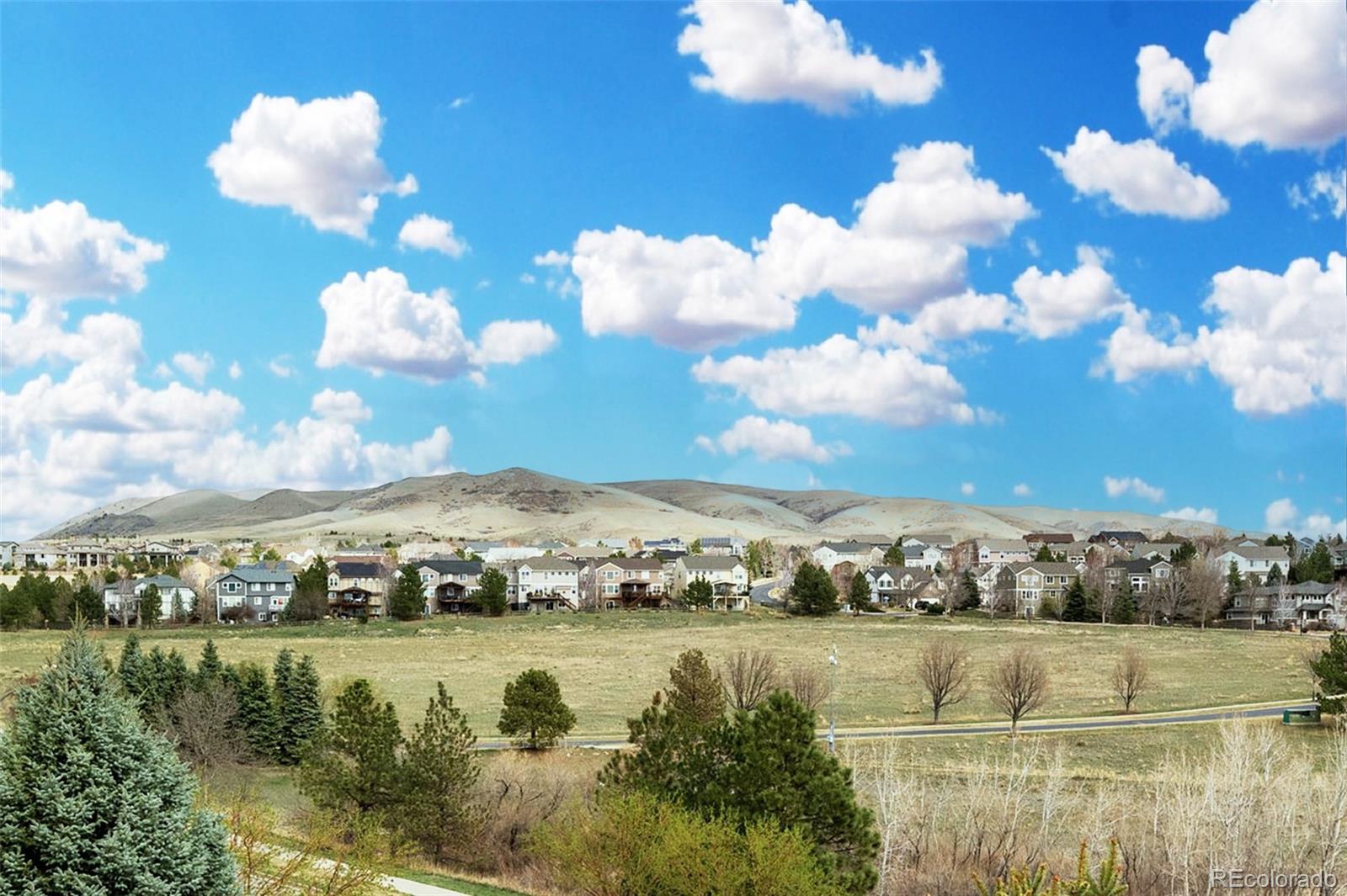 MLS Image #3 for 3305 s indiana street,lakewood, Colorado