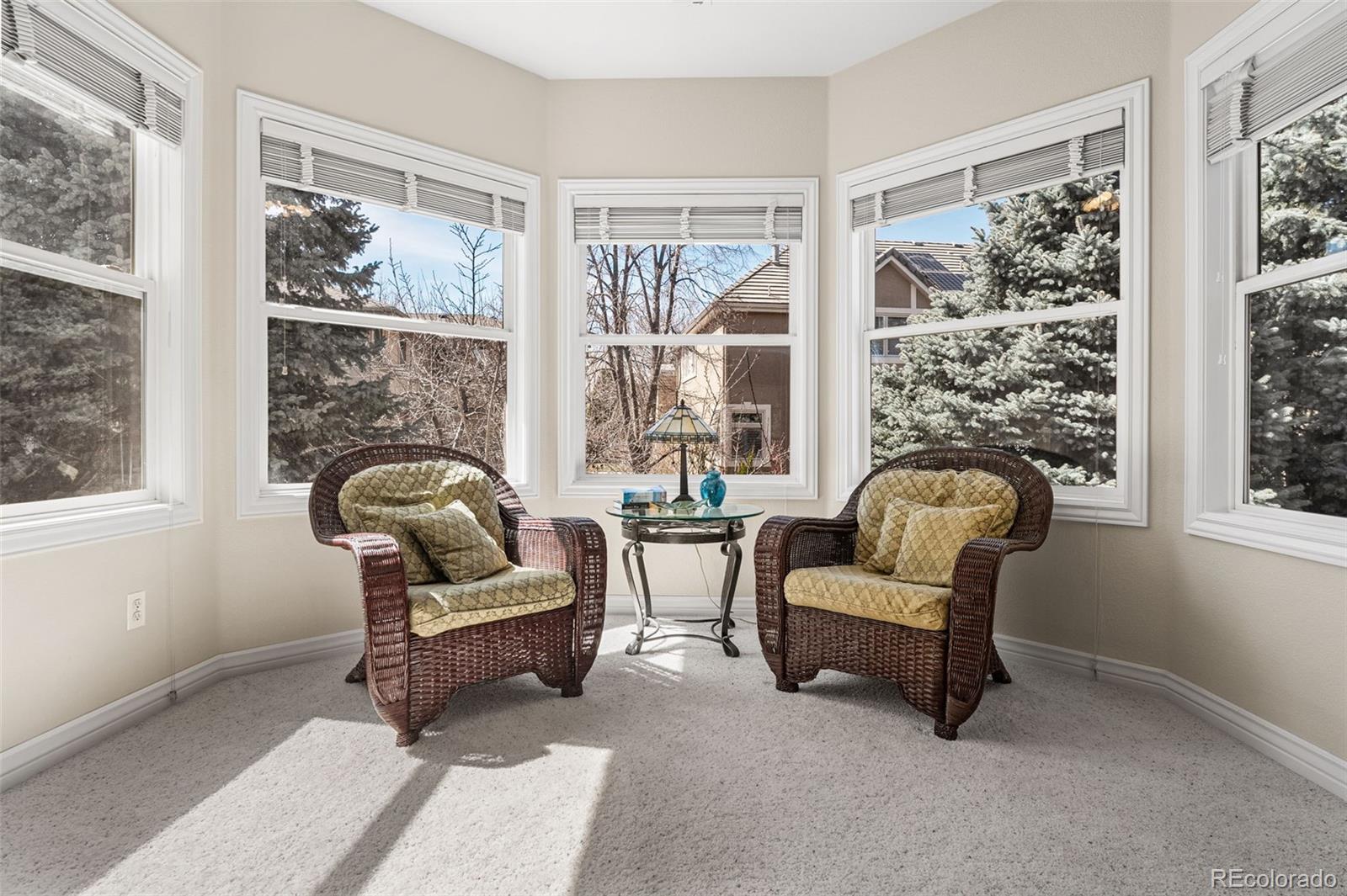 MLS Image #21 for 7425 s utica street,littleton, Colorado