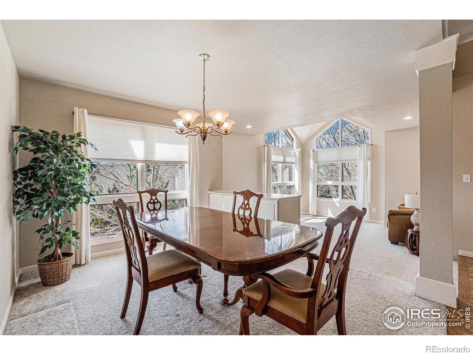 MLS Image #14 for 2409  denby court,fort collins, Colorado