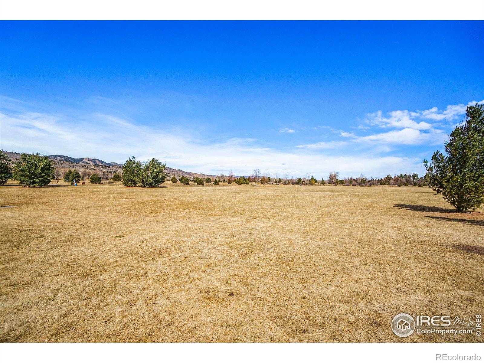 MLS Image #36 for 2409  denby court,fort collins, Colorado