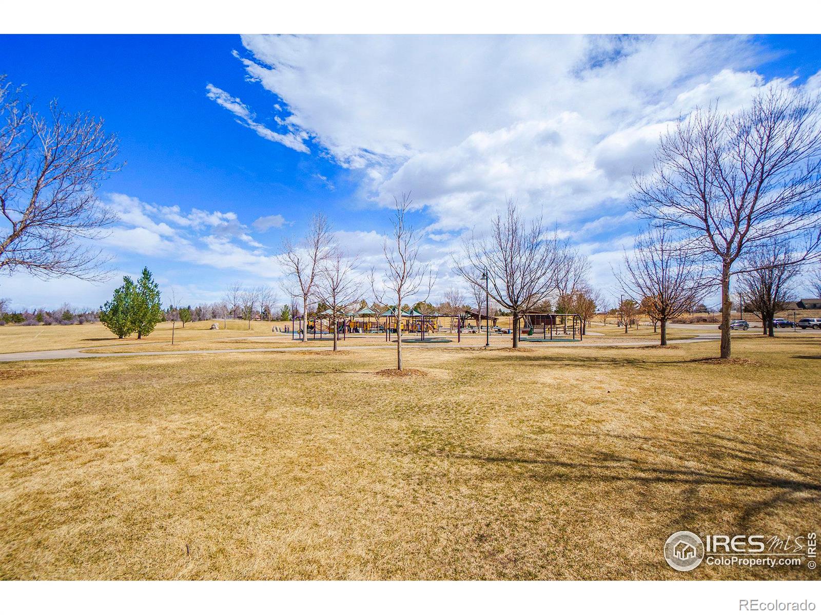 MLS Image #38 for 2409  denby court,fort collins, Colorado