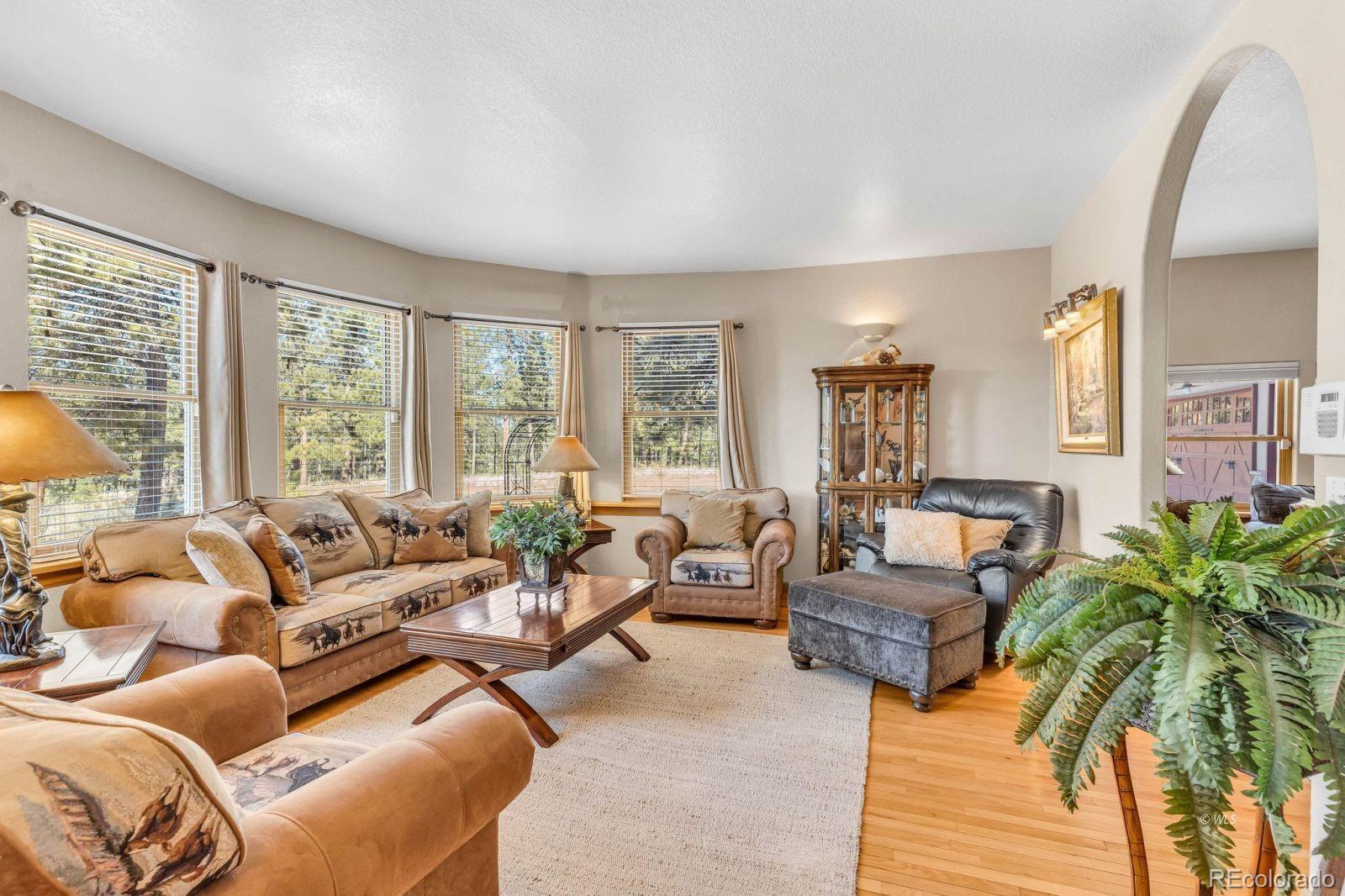 MLS Image #12 for 31  black fawn lane,westcliffe, Colorado