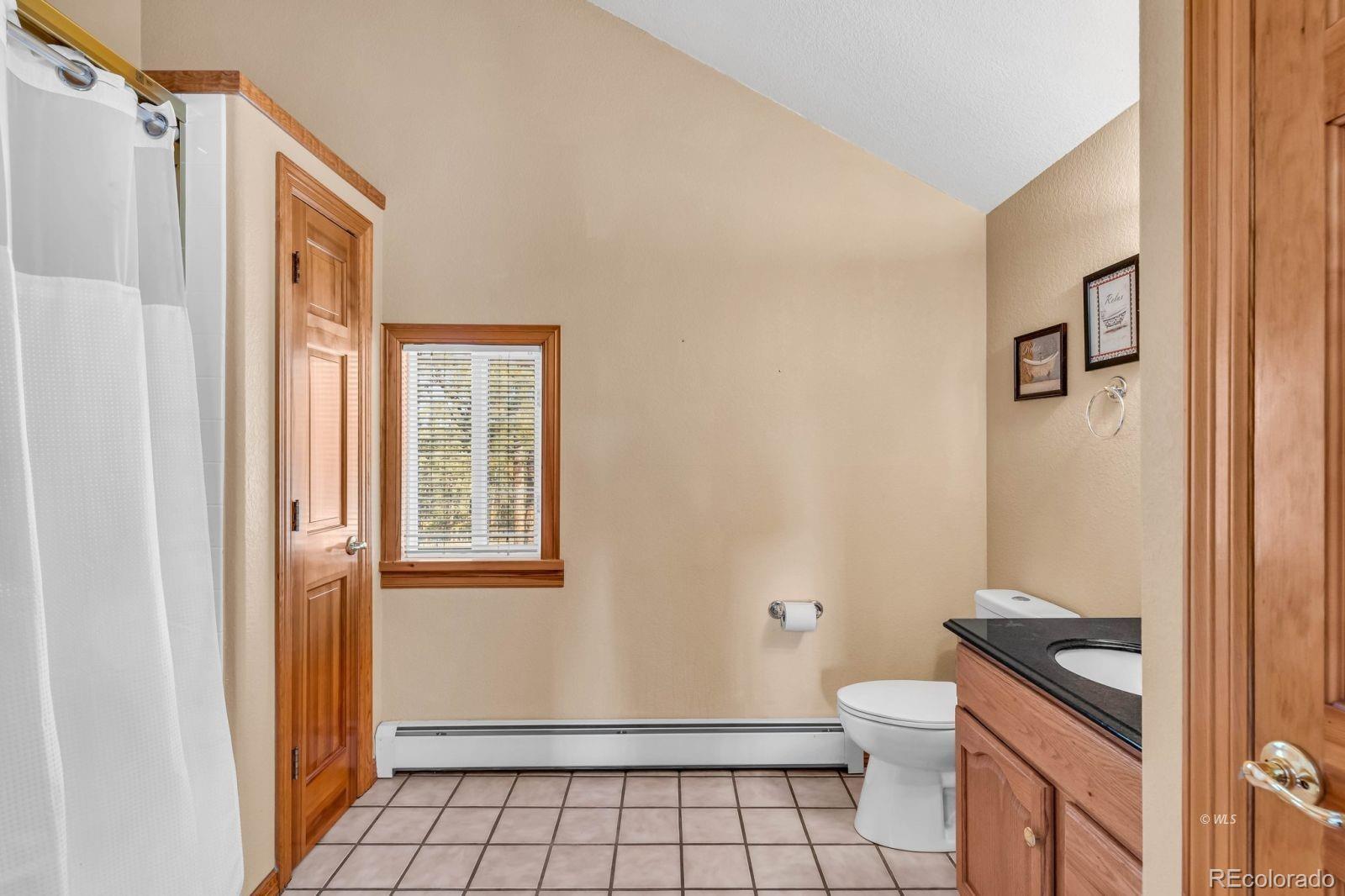 MLS Image #29 for 31  black fawn lane,westcliffe, Colorado