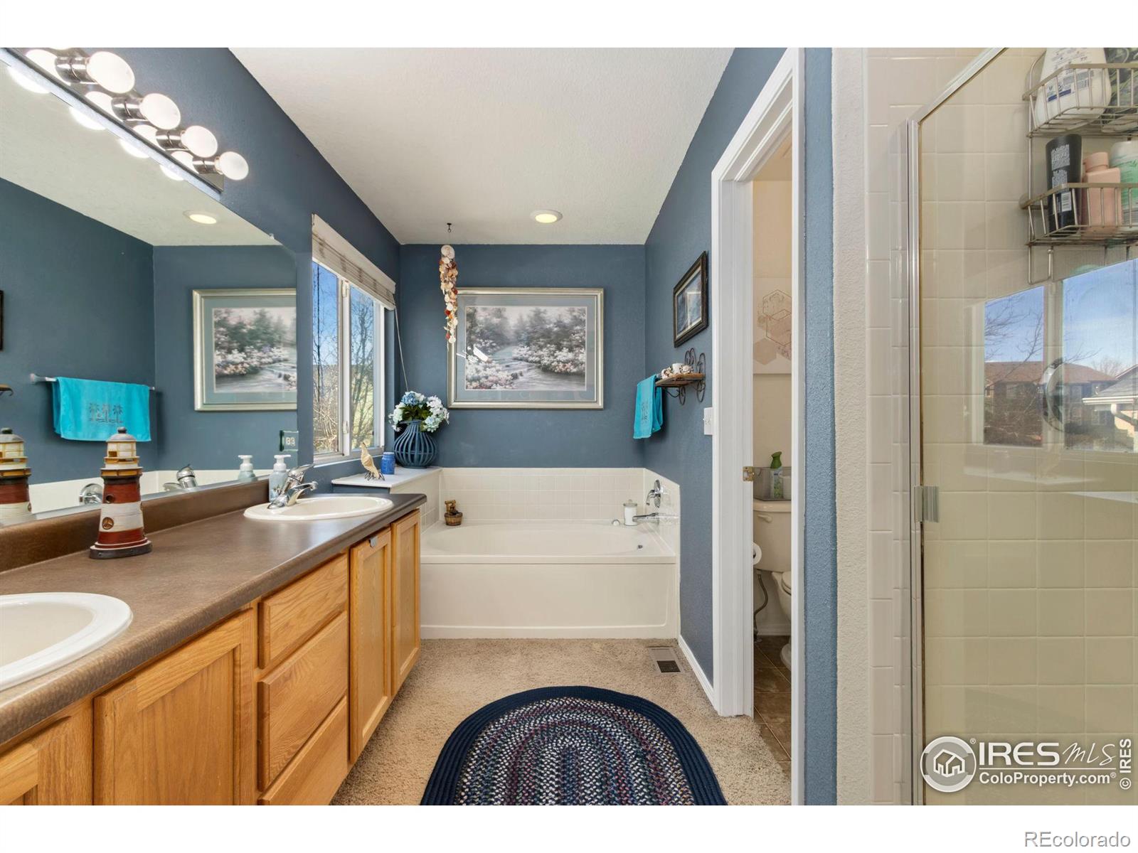 MLS Image #12 for 6280  snowberry avenue,firestone, Colorado