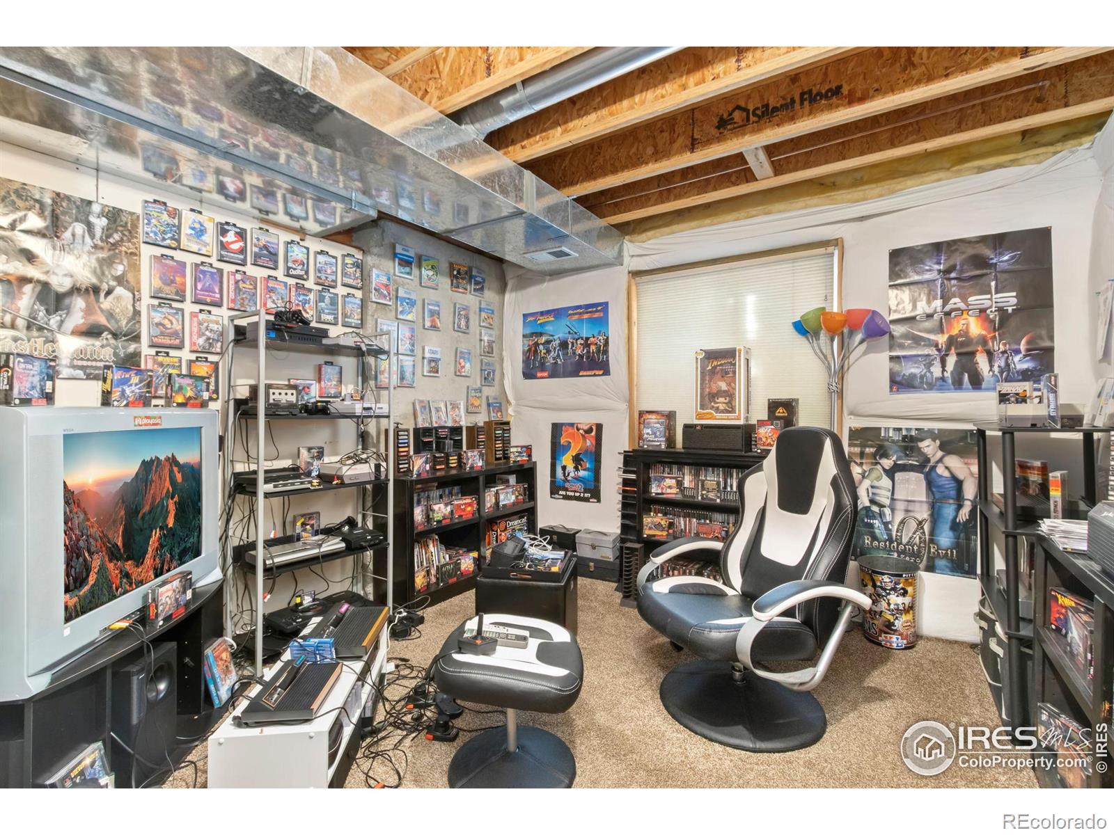 MLS Image #19 for 6280  snowberry avenue,firestone, Colorado