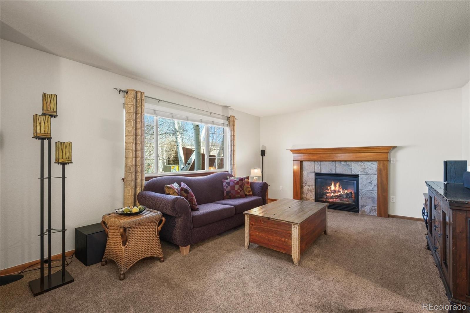 MLS Image #10 for 487  sunshine way,brighton, Colorado