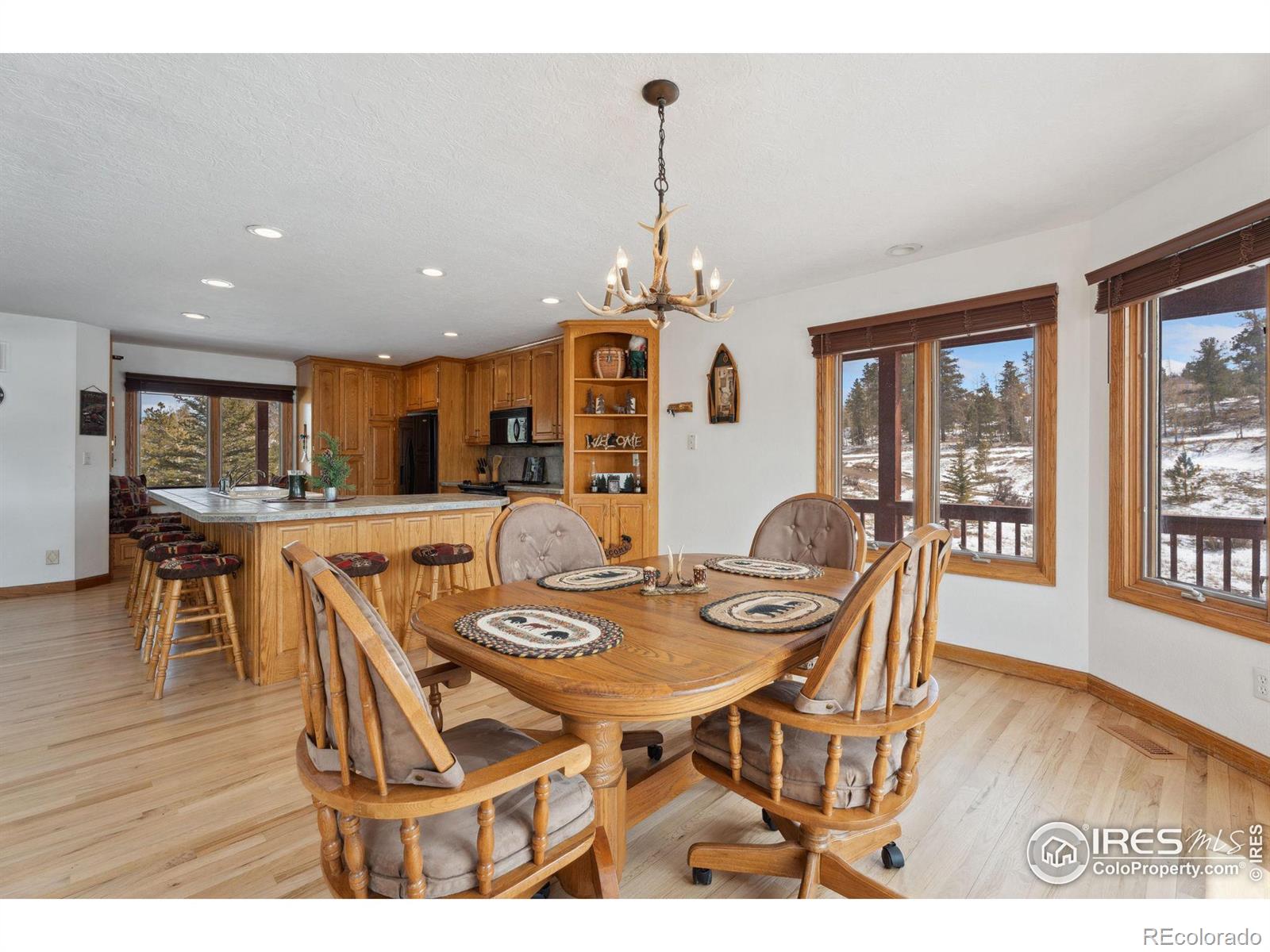 MLS Image #12 for 873  huron road,red feather lakes, Colorado