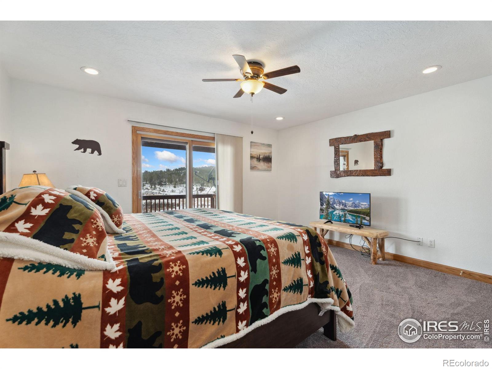 MLS Image #13 for 873  huron road,red feather lakes, Colorado