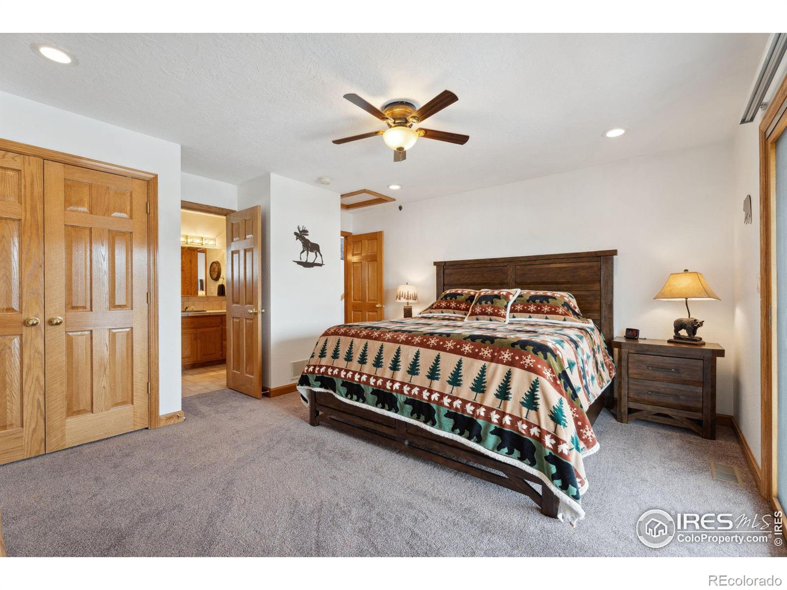 MLS Image #14 for 873  huron road,red feather lakes, Colorado