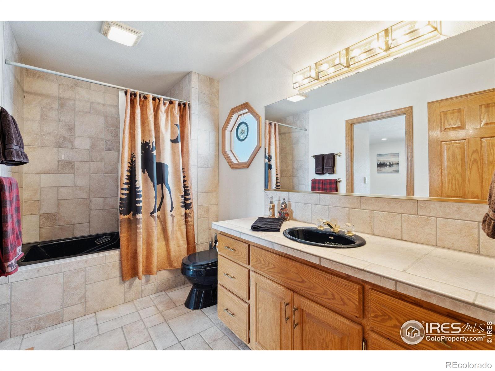 MLS Image #15 for 873  huron road,red feather lakes, Colorado