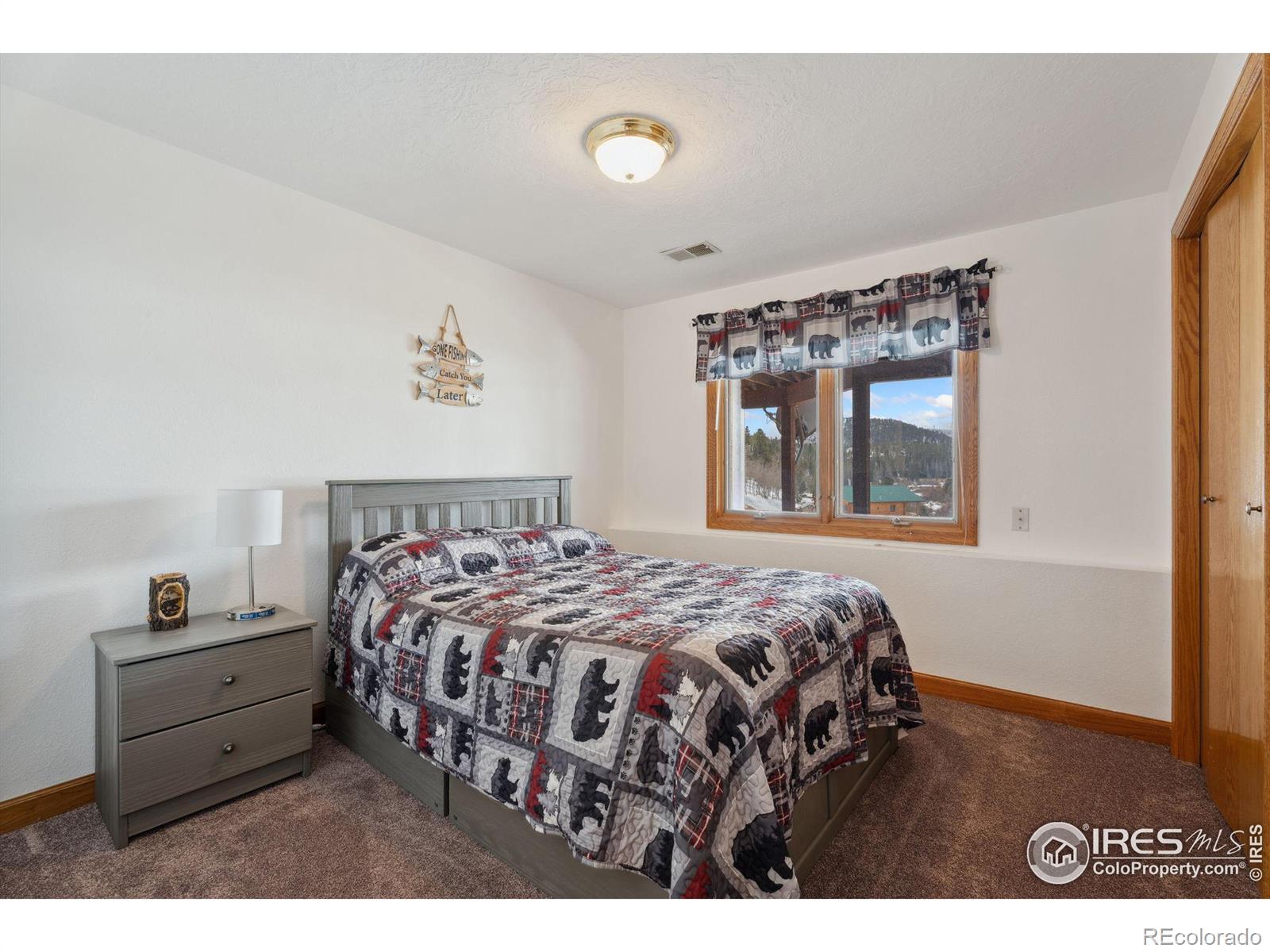 MLS Image #21 for 873  huron road,red feather lakes, Colorado
