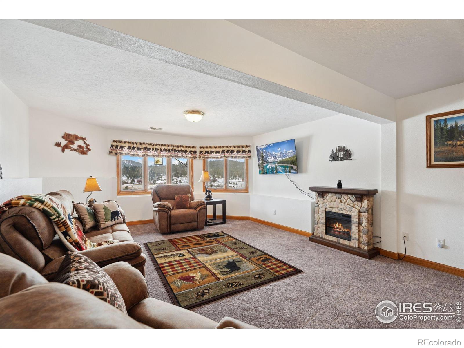 MLS Image #23 for 873  huron road,red feather lakes, Colorado