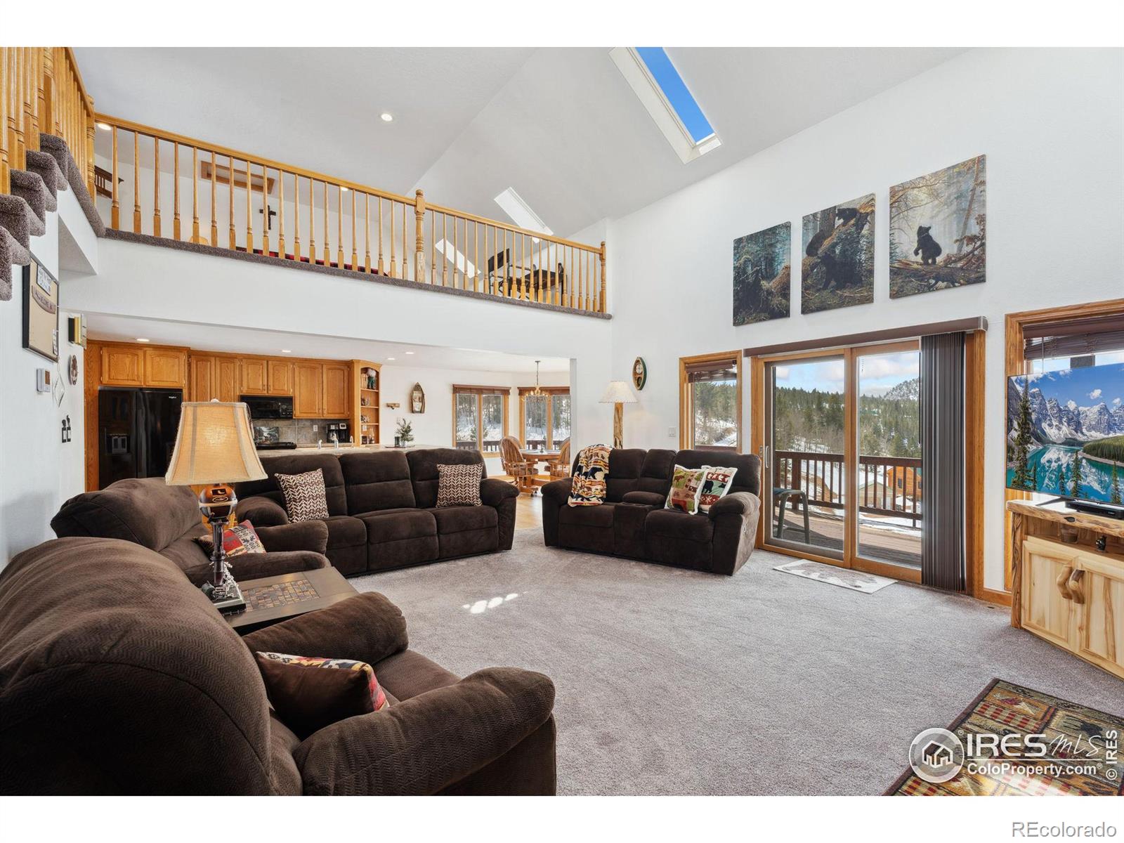 MLS Image #3 for 873  huron road,red feather lakes, Colorado