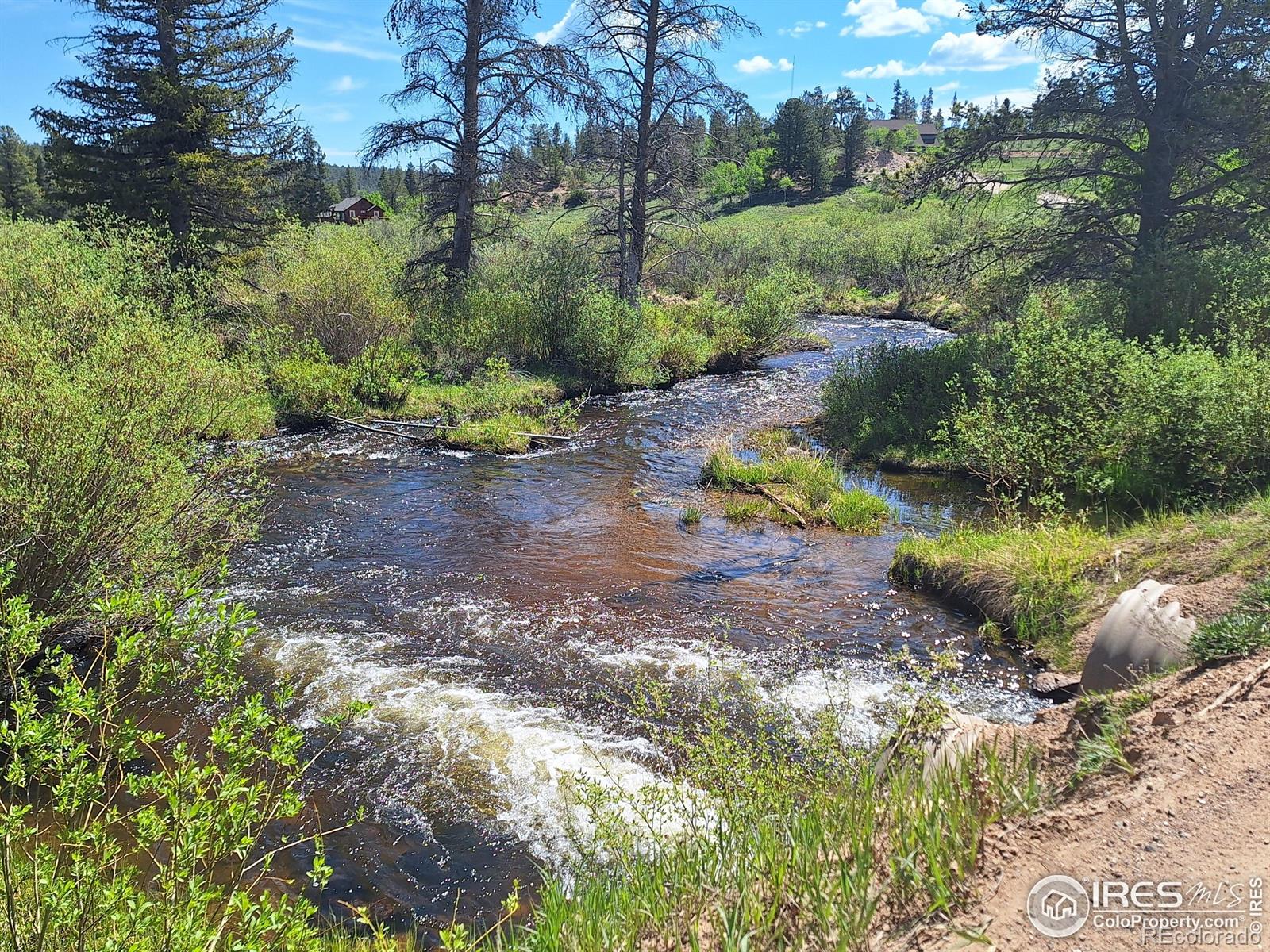 MLS Image #39 for 873  huron road,red feather lakes, Colorado