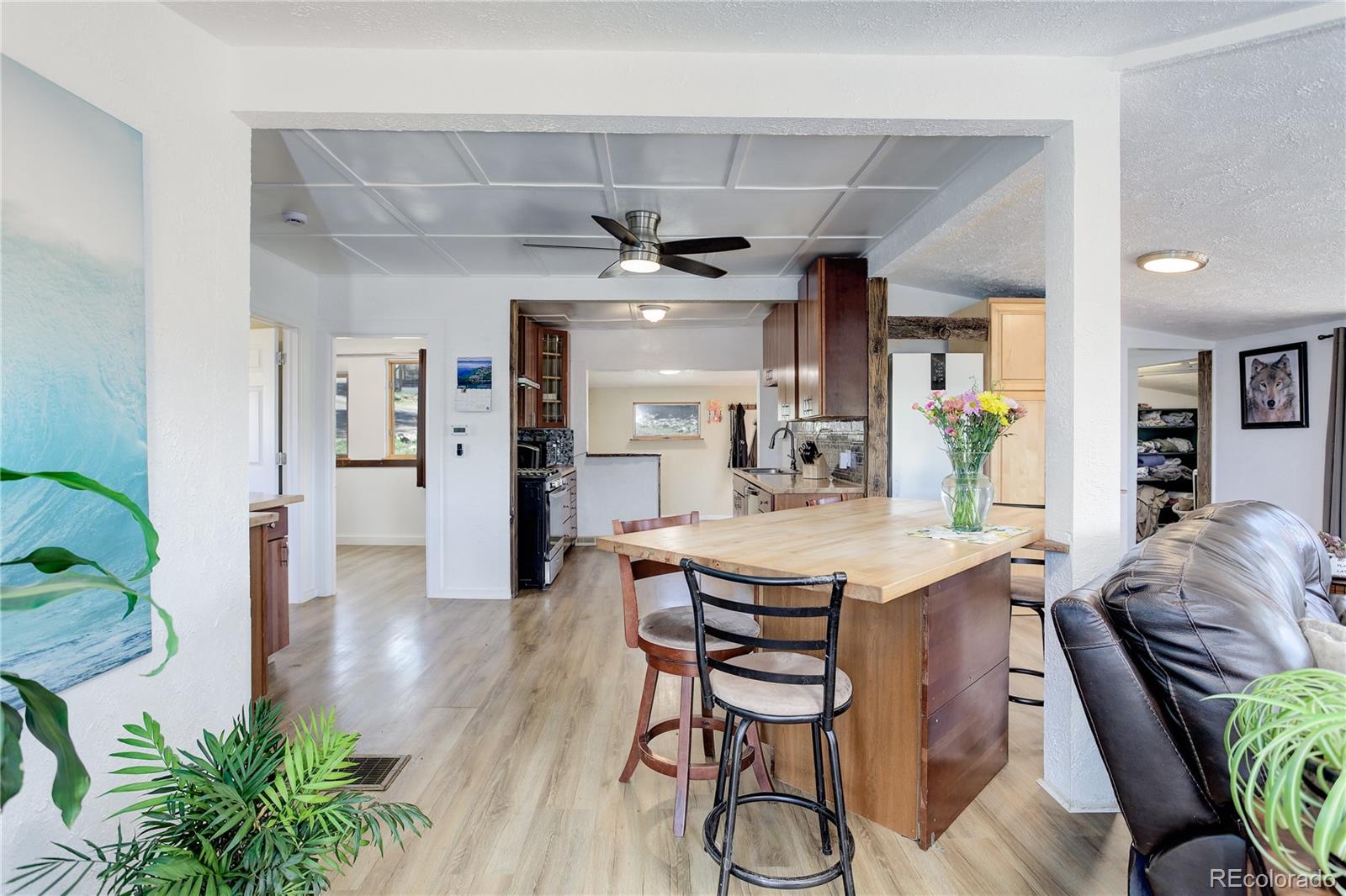 MLS Image #8 for 6743  wild rose lane,evergreen, Colorado