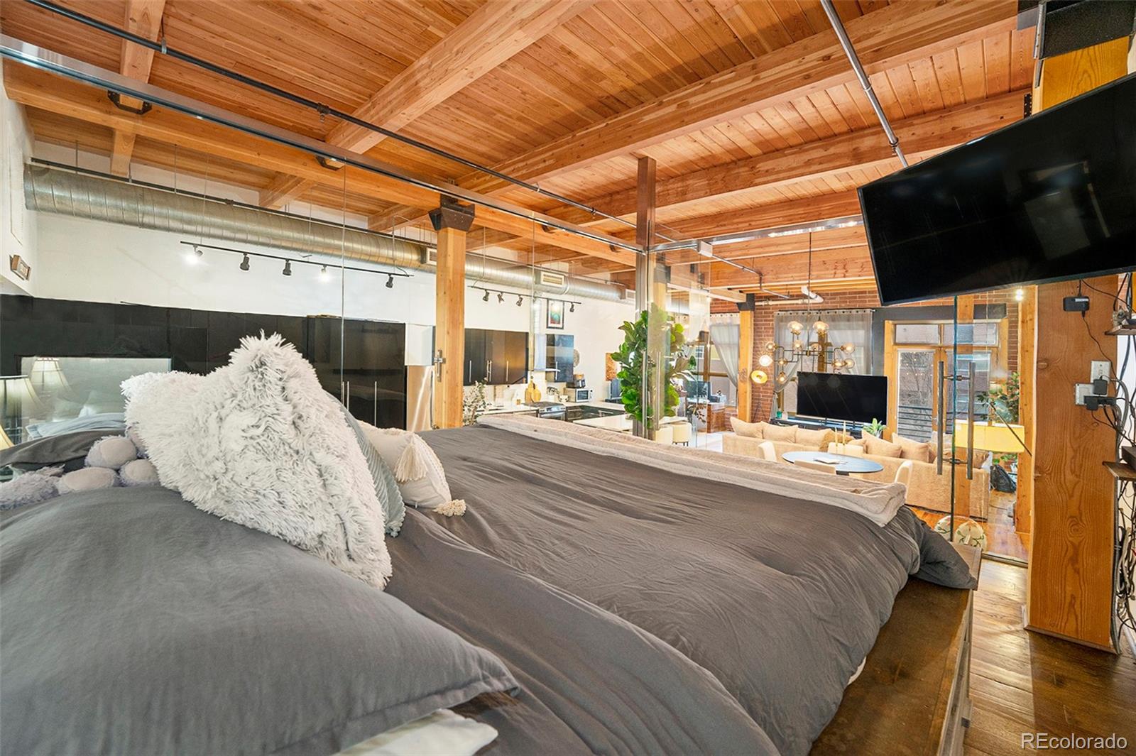MLS Image #14 for 2955  inca street,denver, Colorado