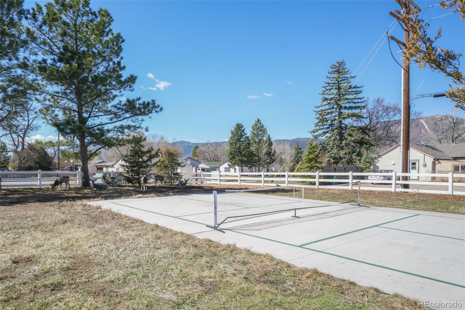 MLS Image #39 for 335  jefferson street,monument, Colorado