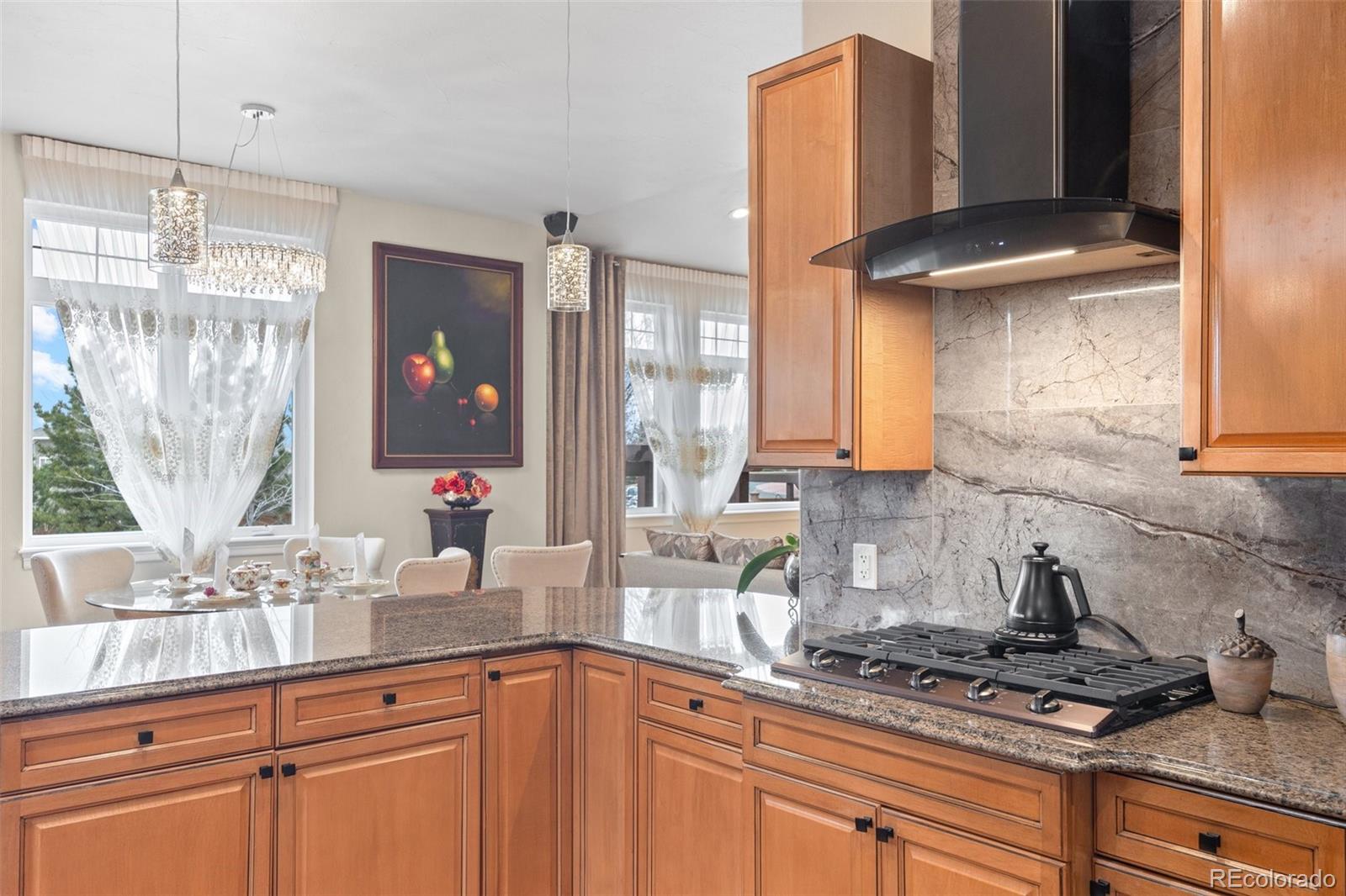 MLS Image #13 for 7178  galaxy court,castle rock, Colorado