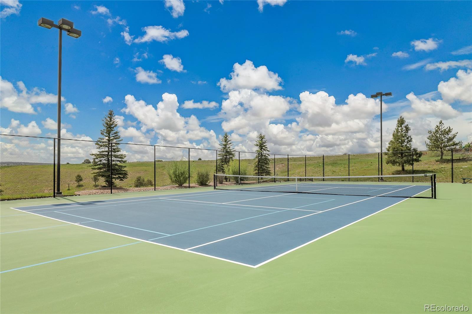 MLS Image #41 for 6401  leilani lane,castle rock, Colorado