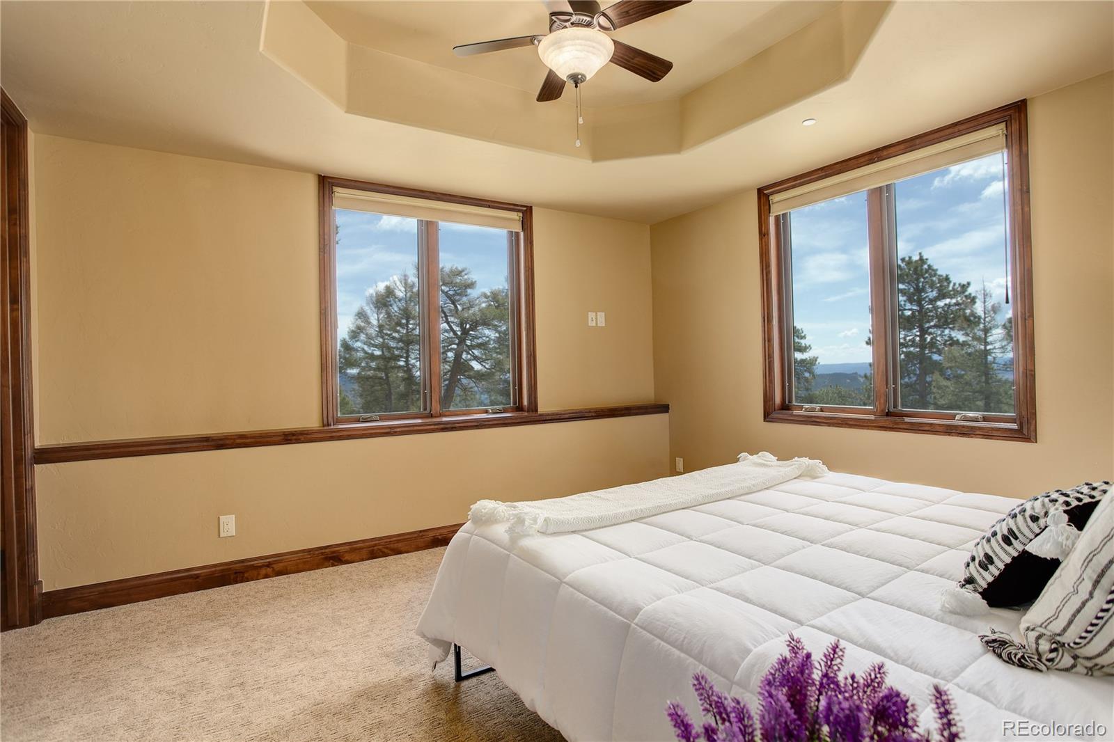 MLS Image #33 for 28800  stonecrop trail,conifer, Colorado