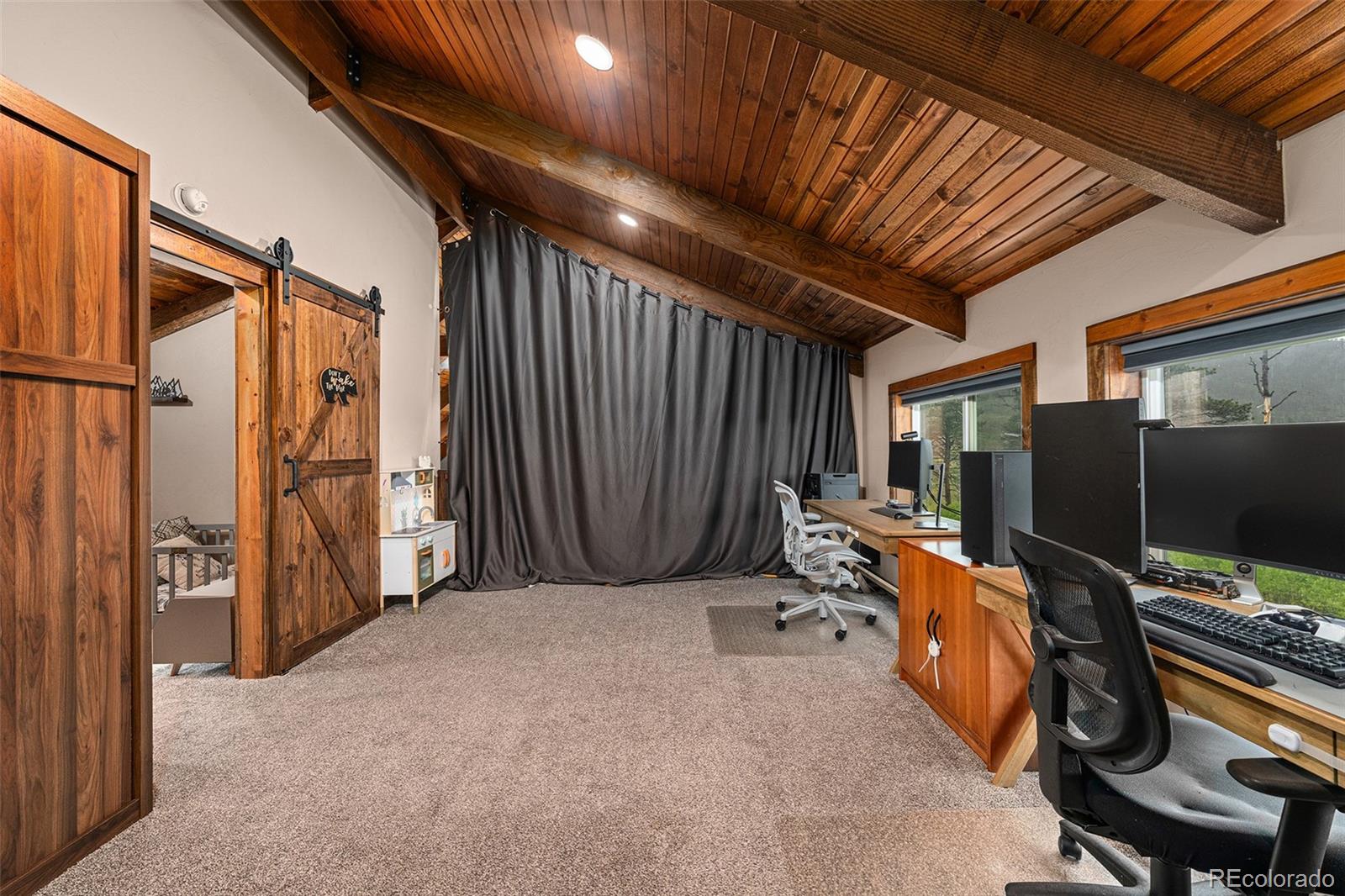 MLS Image #33 for 1034  van fossan lane,fort garland, Colorado