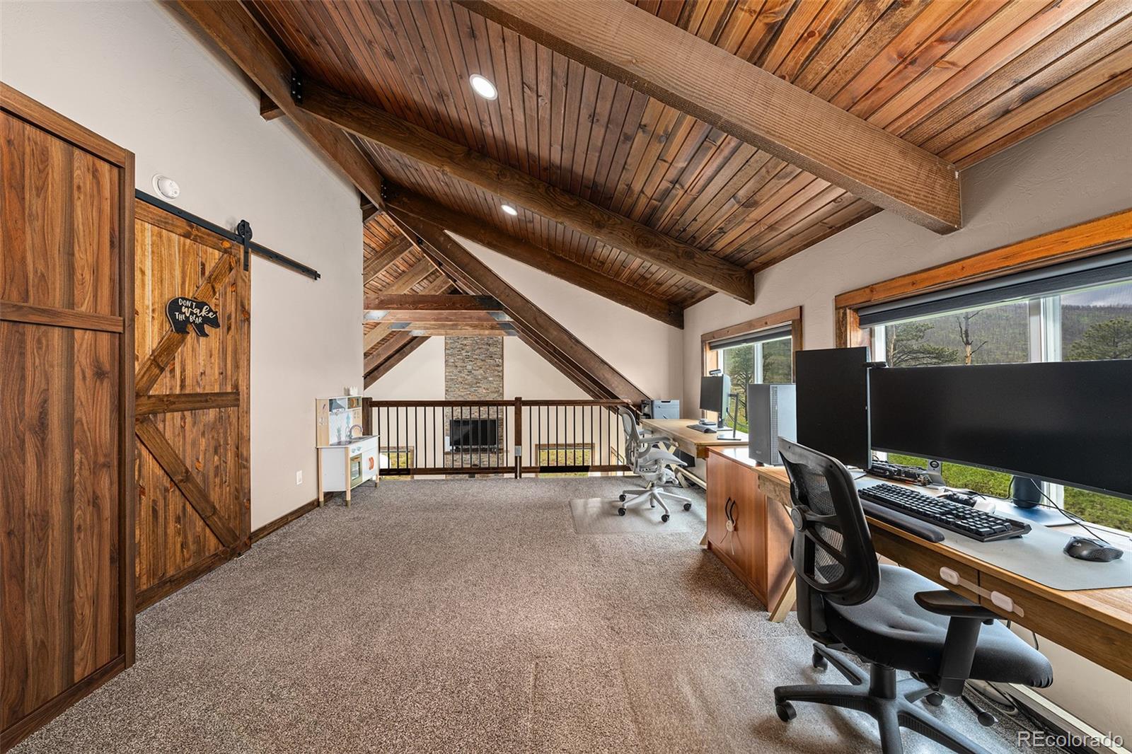 MLS Image #35 for 1034  van fossan lane,fort garland, Colorado