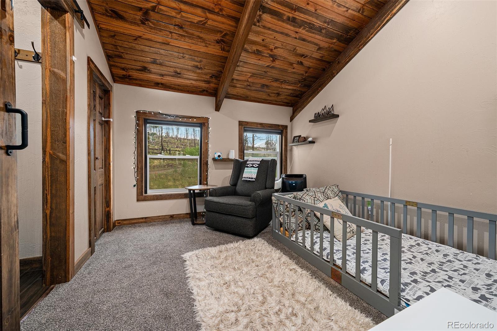 MLS Image #36 for 1034  van fossan lane,fort garland, Colorado