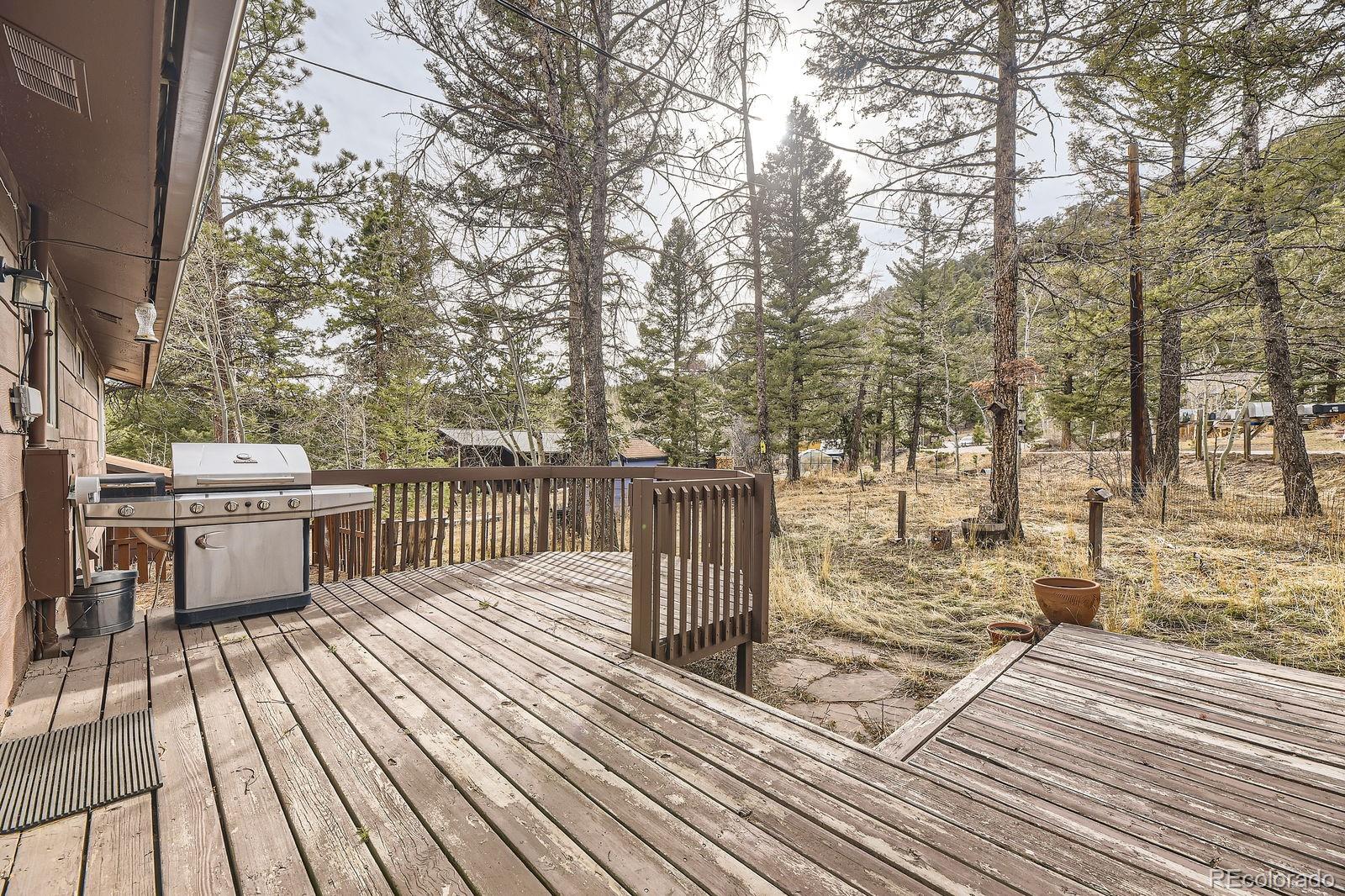 MLS Image #22 for 31168  witteman road,conifer, Colorado