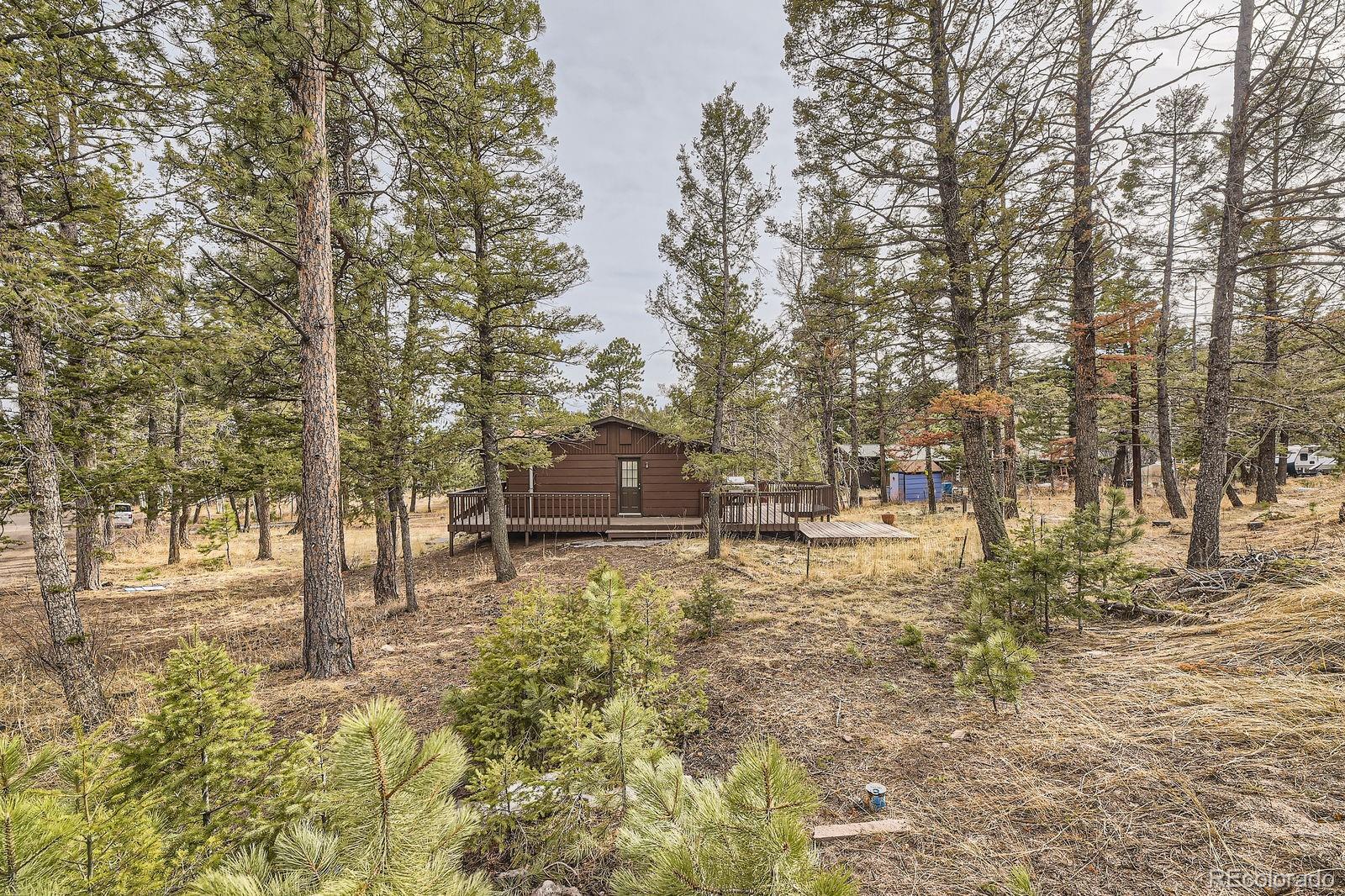 MLS Image #27 for 31168  witteman road,conifer, Colorado